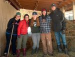 Star Gazing Farm Animal Sanctuary & Shearing Services – Anne Shroeder