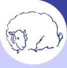 Sheepman Supply – Bob & Charlotte Dinsmore