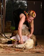 Chamelin Shearing Services/Aerie Farm East – Emily Chamelin