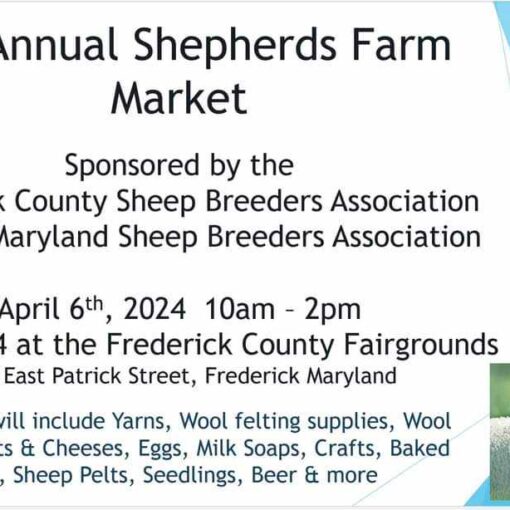 Shepherds Farm Market 2024